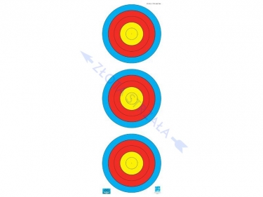 Tarcza Papierowa WA Recurve JVD do łuku klasycznego 3x20cm Pion HALA 18m wzmacniana